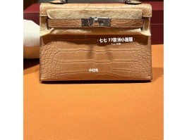 爱马仕2点鳄鱼皮(爱马仕2点鳄鱼皮是什么意思)