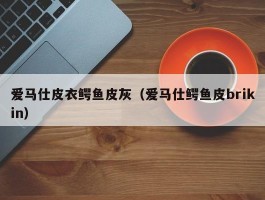 爱马仕皮衣鳄鱼皮灰（爱马仕鳄鱼皮brikin）