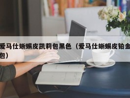 爱马仕蜥蜴皮凯莉包黑色（爱马仕蜥蜴皮铂金包）