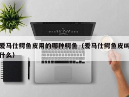 爱马仕鳄鱼皮用的哪种鳄鱼（爱马仕鳄鱼皮叫什么）