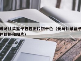 爱马仕菜篮子包包图片饼干色（爱马仕菜篮子包价格和图片）