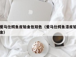 爱马仕鳄鱼皮铂金包双色（爱马仕鳄鱼漆皮铂金）