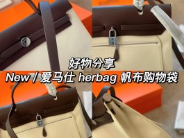 爱马仕帆布包清洗(爱马仕帆布包怎么洗)