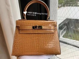 爱马仕鳄鱼皮是什么鳄(爱马仕鳄鱼皮有几种哪一种好)