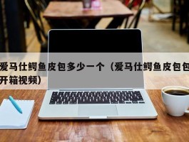 爱马仕鳄鱼皮包多少一个（爱马仕鳄鱼皮包包开箱视频）