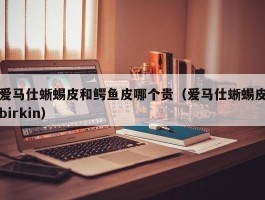 爱马仕蜥蜴皮和鳄鱼皮哪个贵（爱马仕蜥蜴皮birkin）