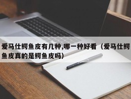 爱马仕鳄鱼皮有几种,哪一种好看（爱马仕鳄鱼皮真的是鳄鱼皮吗）