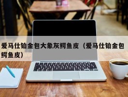 爱马仕铂金包大象灰鳄鱼皮（爱马仕铂金包 鳄鱼皮）