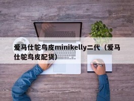 爱马仕鸵鸟皮minikelly二代（爱马仕鸵鸟皮配货）