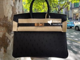 俄罗斯爱马仕鸵鸟皮包包手工定制(爱马仕鸵鸟皮kelly包包什么价)