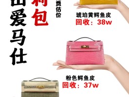 爱马仕鳄鱼皮介绍英文(爱马仕鳄鱼皮用的什么鳄鱼)