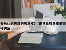 爱马仕的包用的鳄鱼皮?（爱马仕鳄鱼皮是哪种鳄鱼）