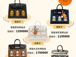 爱马仕鳄鱼皮包价格(爱马仕鳄鱼皮包包什么价)