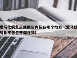 爱马仕鳄鱼皮康康包内标在哪个地方（爱马仕鳄鱼皮包包开箱视频）