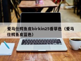 爱马仕鳄鱼皮birkin25香草色（爱马仕鳄鱼皮蓝色）