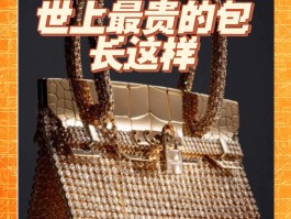 爱马仕最贵的包2000万是真的吗为什么(爱马仕最贵的包叫什么名字)