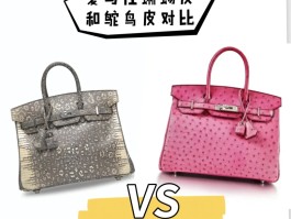 关于爱马仕鸵鸟皮包包什么价三十而立顾佳的信息