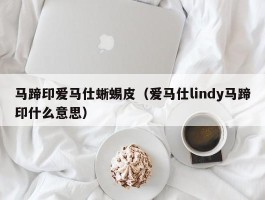 马蹄印爱马仕蜥蜴皮（爱马仕lindy马蹄印什么意思）