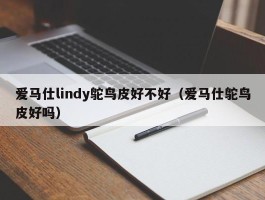 爱马仕lindy鸵鸟皮好不好（爱马仕鸵鸟皮好吗）