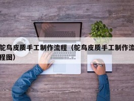鸵鸟皮质手工制作流程（鸵鸟皮质手工制作流程图）