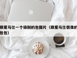跟爱马仕一个级别的包图片（跟爱马仕很像的包包）