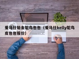 爱马仕铂金鸵鸟包包（爱马仕kelly鸵鸟皮包包报价）