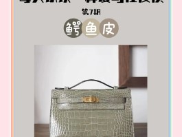台湾爱马仕鳄鱼皮包包手工定制的简单介绍