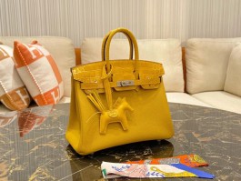 爱马仕birkin25鳄鱼皮橙(爱马仕黑色鳄鱼皮birkin25)