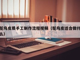 鸵鸟皮质手工制作流程视频（鸵鸟皮适合做什么）