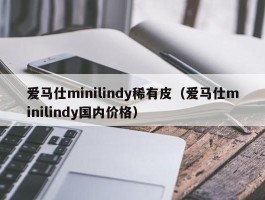 爱马仕minilindy稀有皮（爱马仕minilindy国内价格）