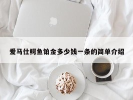 爱马仕鳄鱼铂金多少钱一条的简单介绍