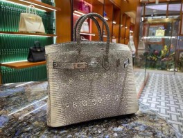 爱马仕蜥蜴铂金(爱马仕蜥蜴皮birkin25)