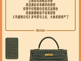 爱马仕2022年鱼皮纹理限量包是多少的简单介绍