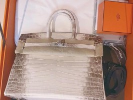 爱马仕铂金包鳄鱼多少钱的简单介绍