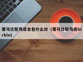 爱马仕鸵鸟皮女包什么价（爱马仕鸵鸟皮birkin）