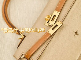 马蹄印爱马仕蜥蜴皮(爱马仕马蹄印什么意思)