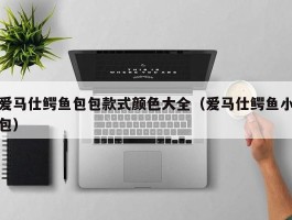 爱马仕鳄鱼包包款式颜色大全（爱马仕鳄鱼小包）