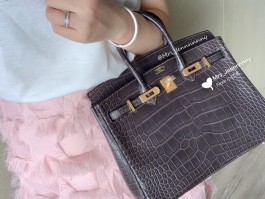 爱马仕鳄鱼皮怎么拿到(爱马仕的鳄鱼皮是什么鳄鱼)
